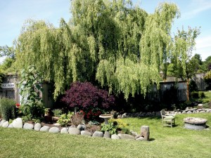 Rob and Renee Johnston have found ways to overcome the wind and poor soil in their garden