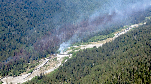 A fire burns on the banks of the Queets River in Olympic National Park in this Monday view from a spotting plane. The fire has since grown to 367 acres. (National Park Service)