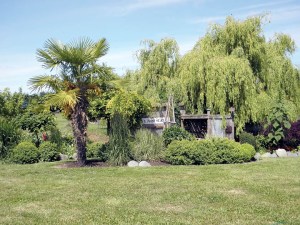Rob and Renee Johnston have found ways to overcome the wind and poor soil in their garden