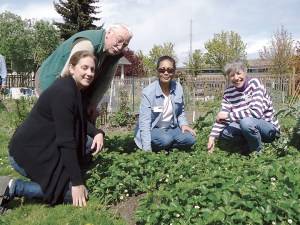 Veteran Master Gardeners