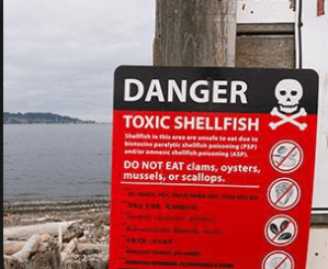 More shellfish harvest closures in effect in Clallam County; shut areas stretch from Cape Flattery to Jefferson line