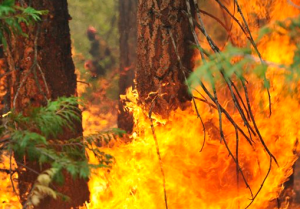 California's largest wildfire burning near the popular Hume Lake in the central Sierra Nevada is expected to rage through the holiday weekend