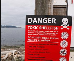 Researcher to speak Wednesday in Port Townsend on rise of biotoxin closures
