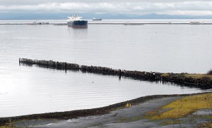 A view of Port Angeles Harbor on Tuesday.  Keith Thorpe/Peninsula Daily News ()