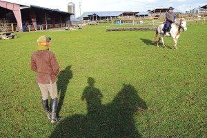 Freedom Farms owner Mary Gallagher