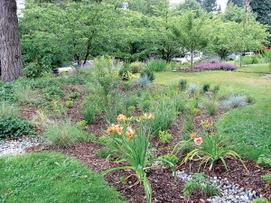 Building a rain garden like the one above is among the featured technologies at Saturday's Jefferson County Home & Garden Show. ()