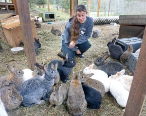 Quilcene's Center Valley Animal Rescue director Sara Penhallegon feeds some of the more than 40 rabbits that she hopes to place in appropriate homes. (Charlie Bermant/Peninsula Daily News)