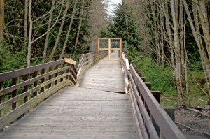The western trestle of the Dungeness River Bridge remains barricaded after being damaged by a flood in early February. --Photo by Chris McDaniel/Peninsula Daily News ()