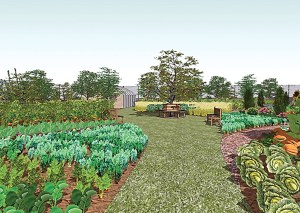 An architectural rendering of the planned community garden on 11th Street in Port Angeles. (Hank Gibson)
