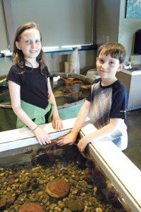 Amelia and Jonathan Bridges