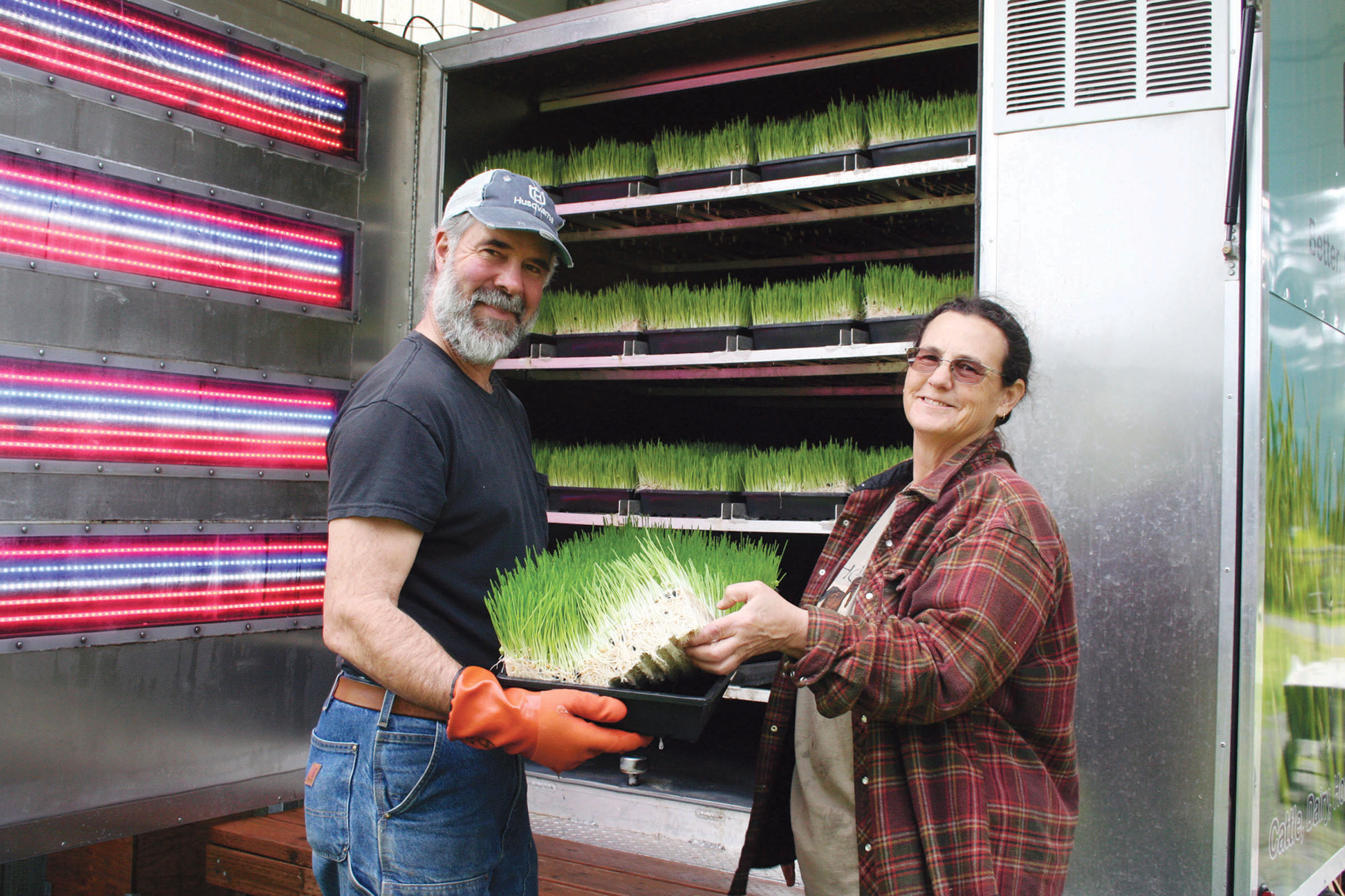Port Angeles ranch owners Dave and Beck Seibel show the matured barley and sunflower seed fodder grown in just seven days inside their hydroponic systems climate-controlled trailer.  Photo by Karen Griffiths/for Peninsula Daily News ()