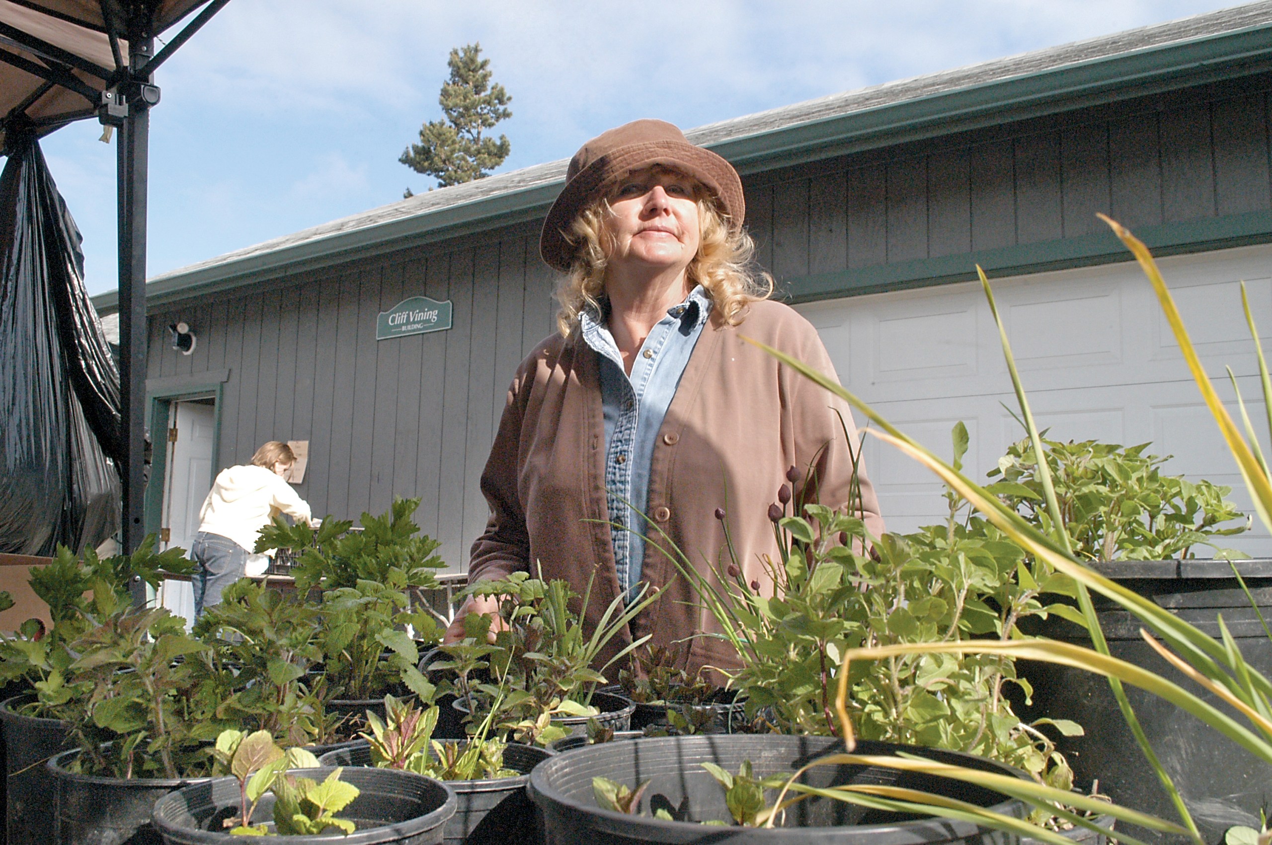 Deborah Apple of Blyn provides starter plants  including celery