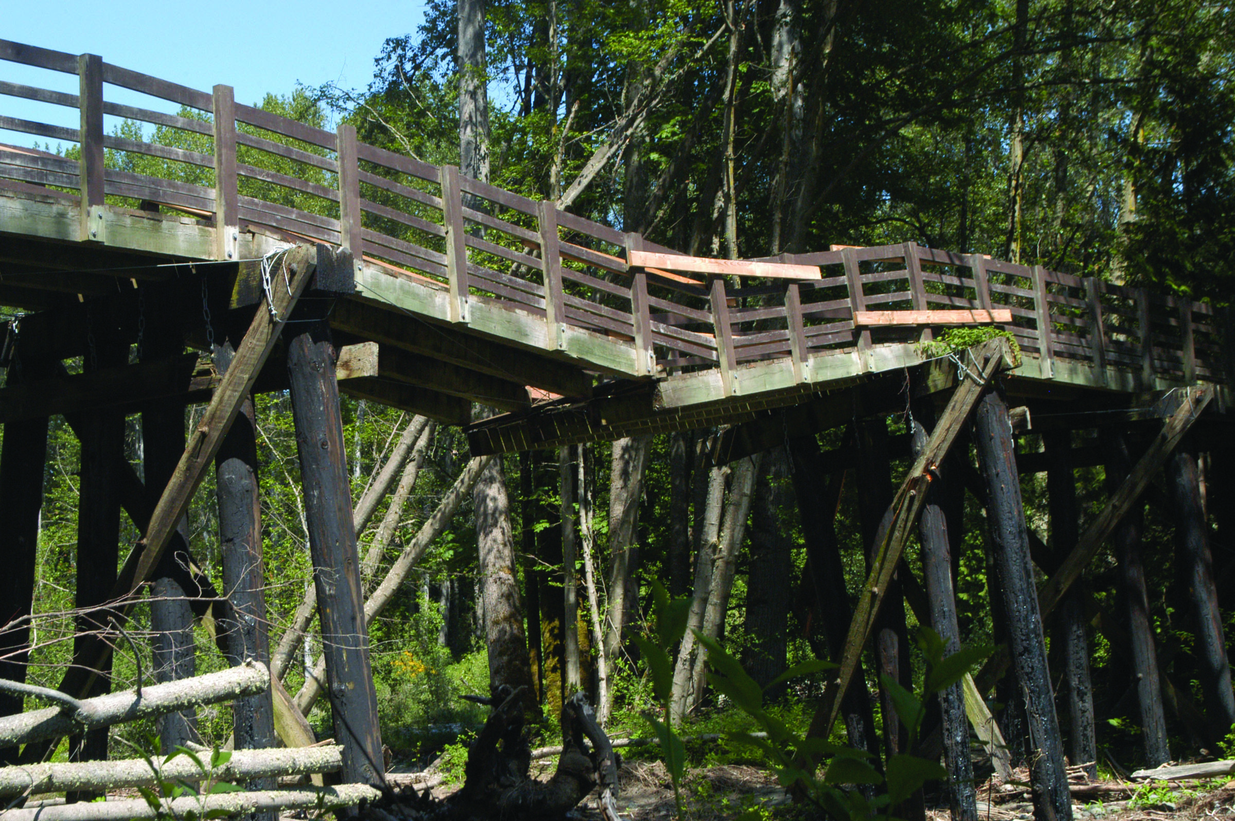 The Jamestown SKlallam tribe is moving forward with plans to repair Railroad Bridge over the Dungeness River.  Chris McDaniel/Peninsula Daily News ()