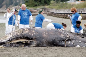 Port Townsend Marine Science Center