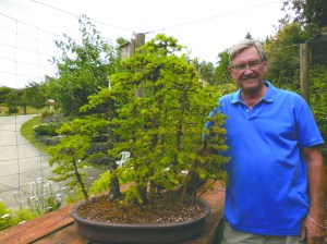 Ron Quigey of Sequim poses with a bonsai tree as the Dungeness Bonsai Society exhibition nears.  Dungeness Bonsai Society ()