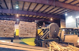 The Allen Logging Co. mill south of Forks