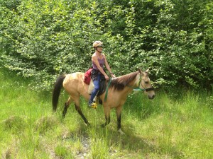 Sequim author and endurance trail riding competitor Lisa Preston on one of her Akhal-Teke horses. Photo by Karen Griffiths/for Peninsula Daily News ()