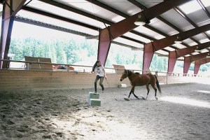 Lesson horse Louie balked at approaching the mounting block until Freedom Farms Hoof Beats member Jamine Itti decided to help him get over his resistance through patience and fun training games. Two years later hes happy to go there  or where ever else Jasmine calls him  sans tack.  Photo by Karen Griffiths/for Peninsula Daily News ()