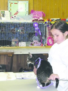 4-H member Ericka Dickinson of Sequim shows her cat at the Summer Classic in front of her prize-winning cat cage.