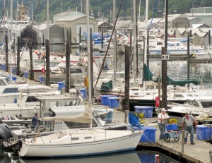 Two anglers bring their catch to shore at the Port Angeles Boat Haven on Sunday. Photo by Arwyn Rice/Peninsula Daily News