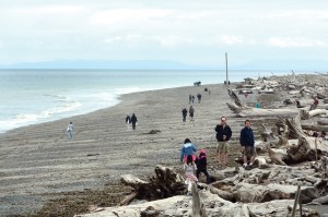 The Dungeness Spit is one of several sites featured in the Destination Wild Olympics campaign