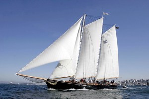 As part of a national America's Cup Tour