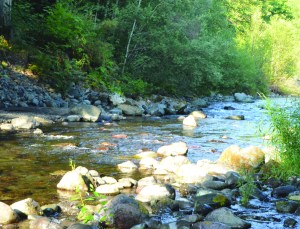 A salmon fishing season on the Big Quilcene River has been called off due to low flows. Charlie Bermant/Peninsula Daily News