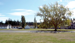 This meadow in Fort Worden State Park will become the Makers Square