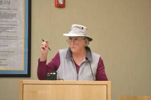 Sequim bans ‘dangerous dogs’