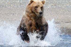 Autumn colors to shine in Port Townsend Art Walk on Saturday