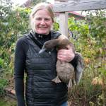 Selinda Barkhuis will host a talk on gardening with ducks Thursday afternoon in Port Angeles. (Washington State University Clallam County Extension)