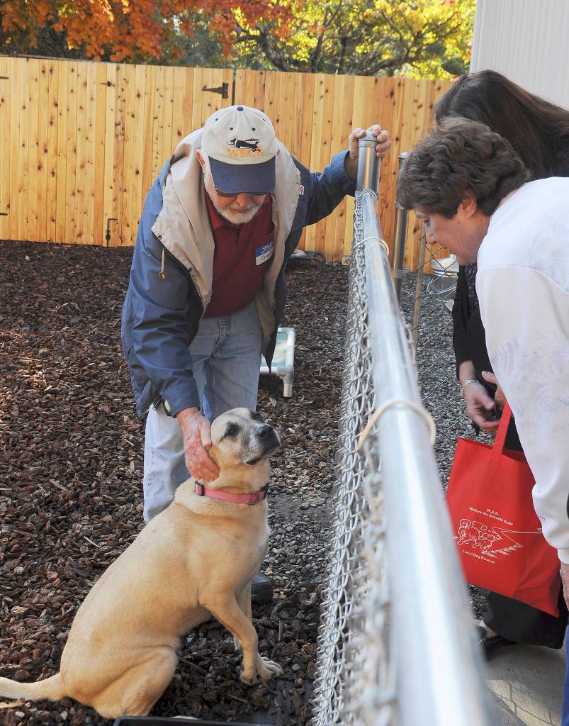 WAG volunteer Glen Varvil and 3-year-old Rosie greet visitors to the organization&rsquo;s open house Oct. 28.
