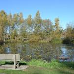 Staff with the city of Sequim say they are investigating options of moving the fishing pond from the Water Reuse Demonstration Site to the pond by the Sequim Dog Park. They said when conditions are hot the demonstration pond isn&rsquo;t deep enough to keep fish safe. (Matthew Nash/Olympic Peninsula News Group)