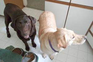 WEST END NEIGHBOR: Caring for precious family members