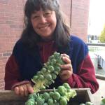 Christie Johnston of Johnston Family Farm holds Brussels sprouts at the Port Angeles Farmers Market. (Betsy Wharton/for Peninsula Daily News)