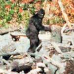 Sasquatch symposium to promote cultural exchange