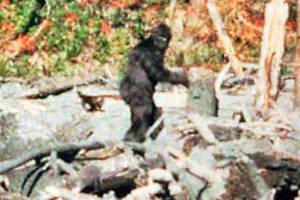 Sasquatch symposium to promote cultural exchange