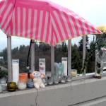 Firm looking at temporary suicide barriers for Port Angeles bridges