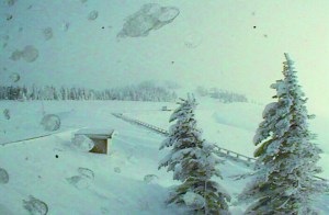 The Hurricane Ridge parking area is shown covered with new snow in this image this morning from the Olympic National Park's webcam. National Park Service