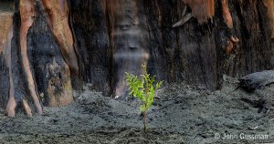 Click on photo to enlarge