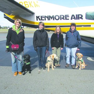 Puppy Pilots