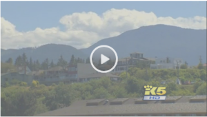 Click on video player