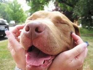 This photo of Leroy was taken in 2011