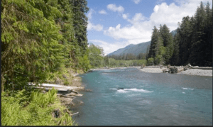 Hoh River in Olympic National Park