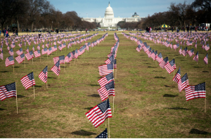 Flags on the National Mall represented the hundreds of veterans who have committed suicide this year. Stephen Crowley/The New York Times