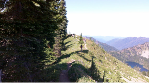On the High Divide/Seven Lakes Basin ridgeline trail in Olympic National Park. Peninsula Daily News file photo