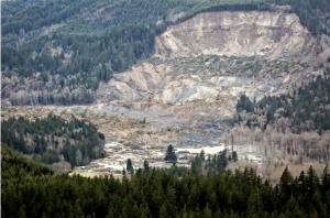 An aerial photo of Saturday's mudslide near the Snohomish County town of Oso. The Seattle Times via The Associated Press (Click on photo to enlarge)