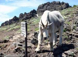 In this July 2008 photo