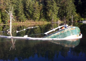 A 65-foot pleasure craft ran aground near Pleasant Harbor in Brinnon early this morning (Sunday). Coast Guard Sector Puget Sound Incident Management Division