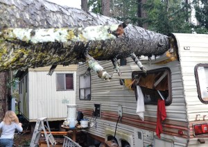 This tree fell onto a recreational vehicle on Melissa Street in Irondale early Tuesday morning after a windstorm. No one was injured as it was empty at the time. Charlie Bermant/Peninsula Daily News